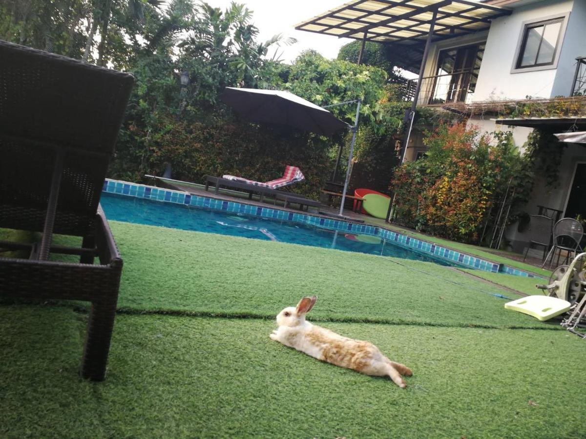 Homestay With Bunny Rabbit Chiang Rai Exterior foto